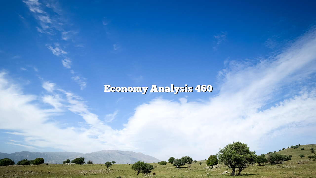 Economy Analysis 460