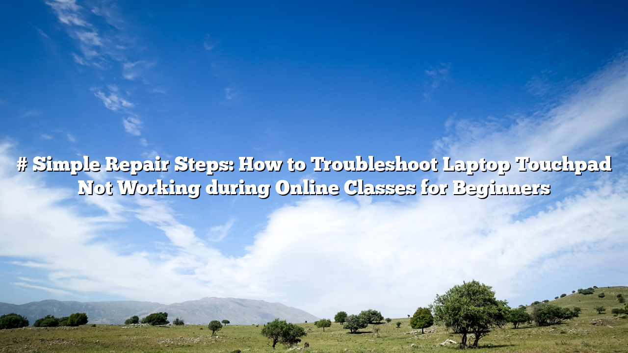 # Simple Repair Steps: How to Troubleshoot Laptop Touchpad Not Working during Online Classes for Beginners